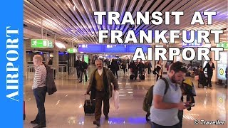 TRANSIT WALK AT FRANKFURT Airport FRA Terminal 1  Connection Flight Transfer Arriving amp Departing [upl. by Antrim652]